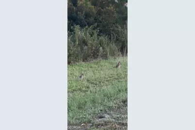 1334 Shady Lane, Sylvania, GA 30467 - Photo 36