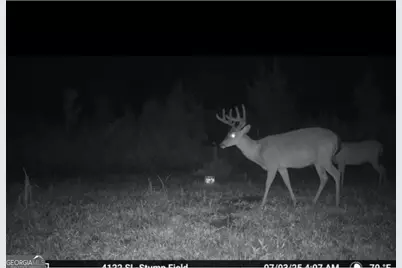 1334 Shady Lane, Sylvania, GA 30467 - Photo 14