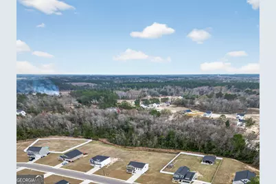 99 Blueberry Court NE, Ludowici, GA 31316 - Photo 48
