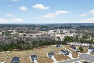 99 Blueberry Ct NE, Ludowici, GA 31316 - Photo 26