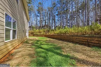 455 Pearson Circle, Hampton, GA 30228 - Photo 34