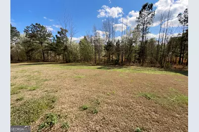 161 Donovan Avenue, Locust Grove, GA 30248 - Photo 34