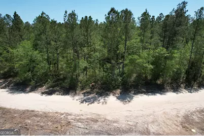 0 Duncan Bridge Road, Ellwood, GA 31552 - Photo 6