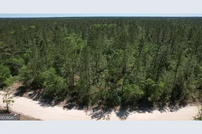 0 Duncan Bridge Road, Ellwood, GA 31552 - Photo 4