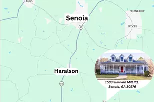 1583 Sullivan Mill Rd, Senoia, GA 30276 - Photo 60