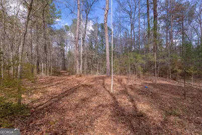 1583 Sullivan Mill Road, Senoia, GA 30276 - Photo 54