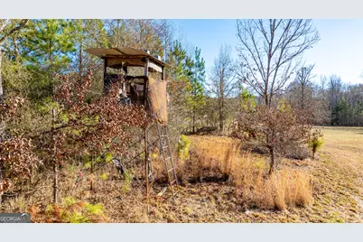 2161 Bear Creek Road, Moreland, GA 30259 - Photo 132