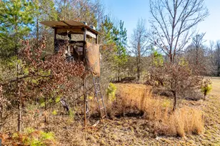 2161 Bear Creek Rd, Moreland, GA 30259 - Photo 132