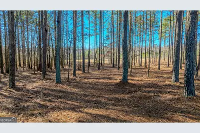 2161 Bear Creek Road, Moreland, GA 30259 - Photo 124