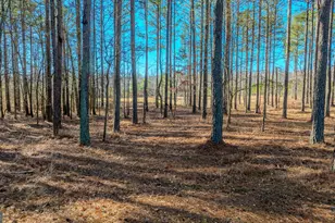 2161 Bear Creek Rd, Moreland, GA 30259 - Photo 124