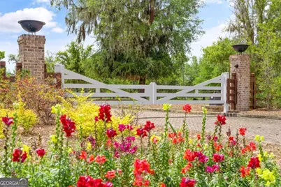 19 Windmill Palm, Brunswick, GA 31523 - Photo 12