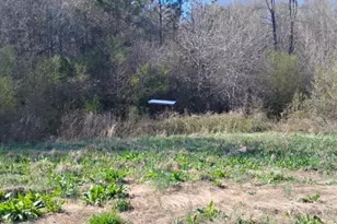 2331 Kesler Rd, Carnesville, GA 30521 - Photo 12