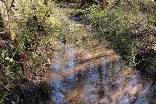 2331 Kesler Rd, Carnesville, GA 30521 - Photo 14