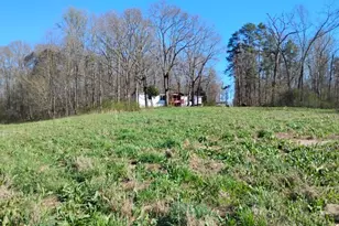 2331 Kesler Rd, Carnesville, GA 30521 - Photo 1
