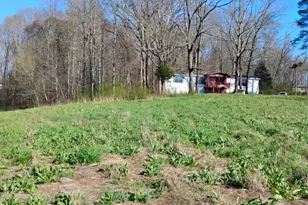 2331 Kesler Rd, Carnesville, GA 30521 - Photo 2