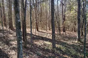 2331 Kesler Rd, Carnesville, GA 30521 - Photo 18