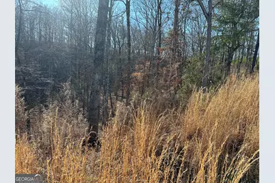 77 River Overlook Lane S, Ellijay, GA 30540 - Photo 6