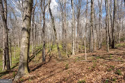 13 W L Williams, Commerce, GA 30530 - Photo 18