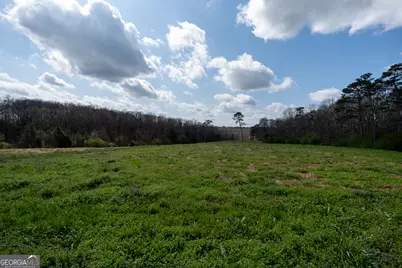 13 W L Williams, Commerce, GA 30530 - Photo 34