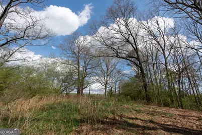 13 W L Williams, Commerce, GA 30530 - Photo 8