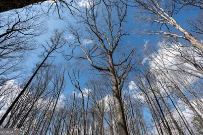 13 W L Williams, Commerce, GA 30530 - Photo 12