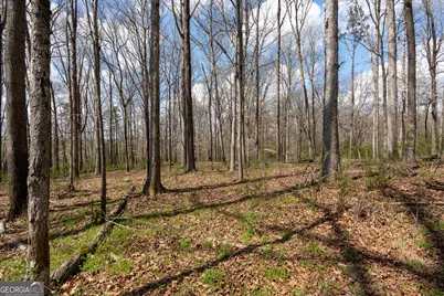 13 W L Williams, Commerce, GA 30530 - Photo 10