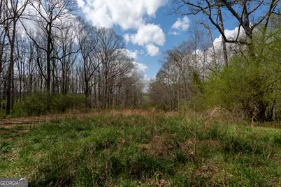 13 W L Williams, Commerce, GA 30530 - Photo 6