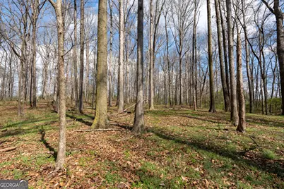 13 W L Williams, Commerce, GA 30530 - Photo 16