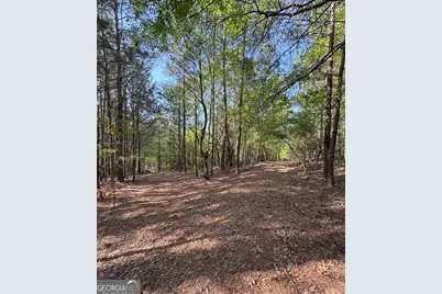 0A Middle Ground Road, Louisville, GA 30434 - Photo 2