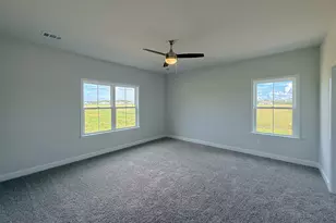 318 Barney Run, Statesboro, GA 30458 - Photo 18