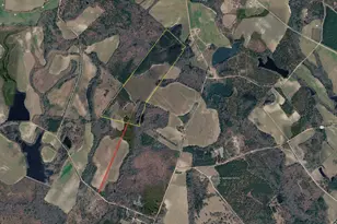 0 Poplar Springs Ch Rd, Portal, GA 30450 - Photo 1