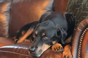 7581 Old Zebulon Rd, Molena, GA 30258 - Photo 78