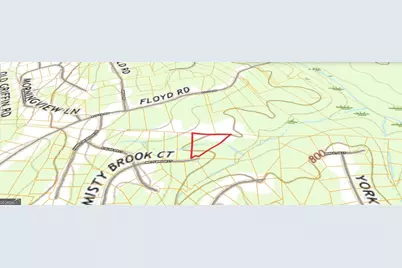 437 Misty Brook Court, Hampton, GA 30228 - Photo 6