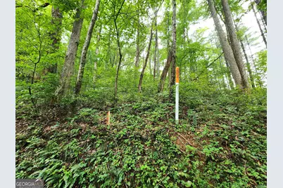 Tract 2A Poplar Cove Trail, Suches, GA 30572 - Photo 10