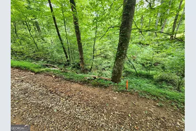Tract 2A Poplar Cove Trail, Suches, GA 30572 - Photo 2