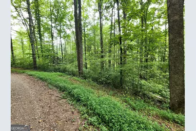 Tract 2B Poplar Cove Trail, Suches, GA 30572 - Photo 8