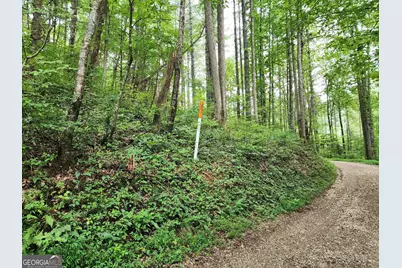 Tract 2B Poplar Cove Trail, Suches, GA 30572 - Photo 6