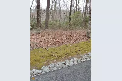 0 Lot 10 &amp; 11 Honey Bear #LOT 10 &amp; 11, Dillard, GA 30537 - Photo 4