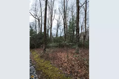 0 Lot 10 &amp; 11 Honey Bear #LOT 10 &amp; 11, Dillard, GA 30537 - Photo 2
