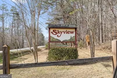 445 Skyview Circle, Clarkesville, GA 30523 - Photo 38