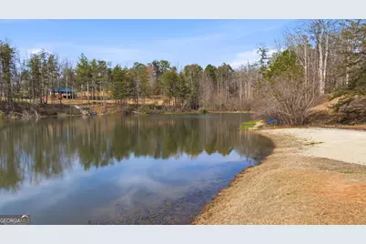 445 Skyview Circle, Clarkesville, GA 30523 - Photo 42