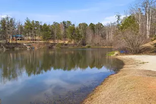 445 Skyview Cir, Clarkesville, GA 30523 - Photo 42