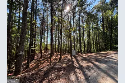 2 East Dry Pond Road LOT #2 EAST, Ranger, GA 30734 - Photo 22