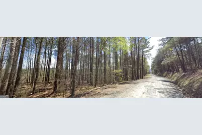 2 East Dry Pond Road LOT #2 EAST, Ranger, GA 30734 - Photo 14