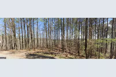 2 East Dry Pond Road LOT #2 EAST, Ranger, GA 30734 - Photo 2