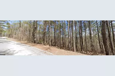 2 East Dry Pond Road LOT #2 EAST, Ranger, GA 30734 - Photo 12