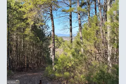 2 West Dry Pond Road LOT #2 WEST, Ranger, GA 30734 - Photo 10