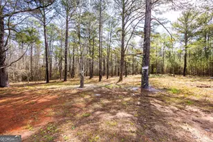 137 Buck Rd, Gray, GA 31032 - Photo 32