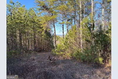 5 West Dry Pond Road LOT #5 WEST, Ranger, GA 30734 - Photo 12