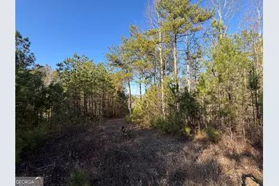 5 West Dry Pond Road LOT #5 WEST, Ranger, GA 30734 - Photo 16